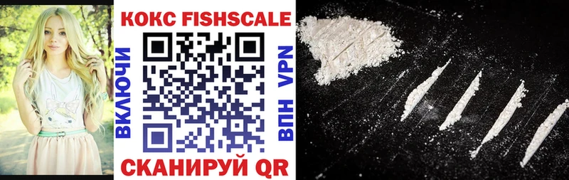 Кокаин FishScale  купить закладку  Пойковский 