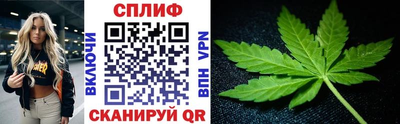 где найти наркотики  Пойковский  Шишки марихуана конопля 